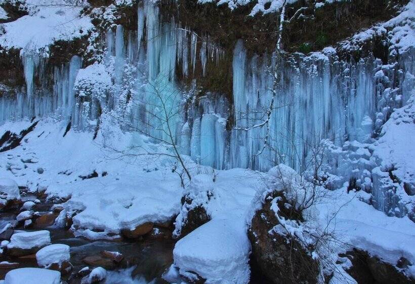 Пансион Guesthouse Kreutzer