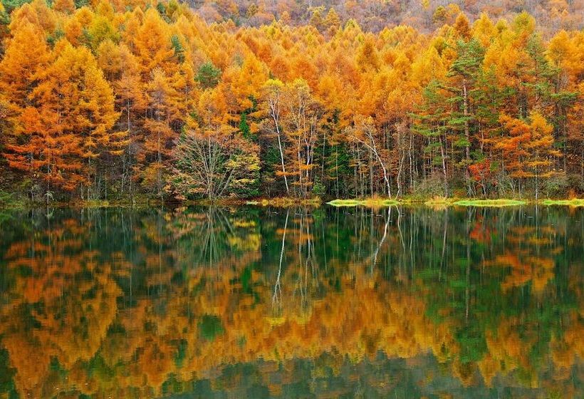 Пансион Guesthouse Kreutzer