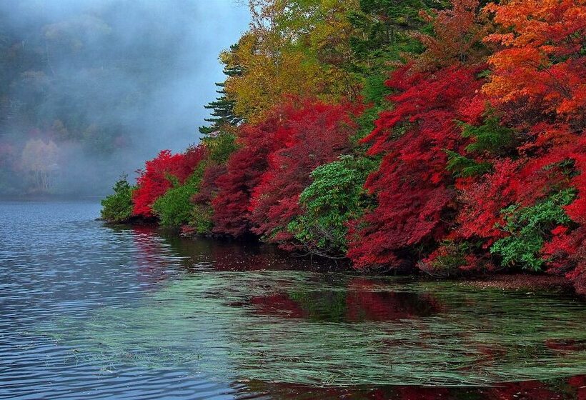 Пансион Guesthouse Kreutzer