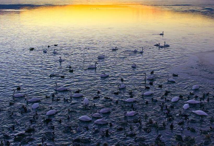 Пансион Guesthouse Kreutzer