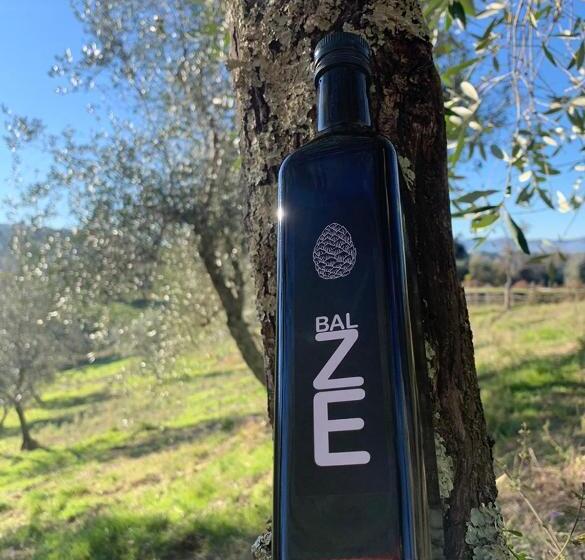 酒店 Spacious Room Ragusana For 2 Guests & Child