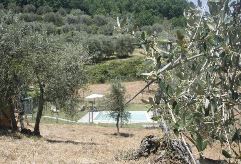 酒店 Spacious Room Ragusana For 2 Guests & Child