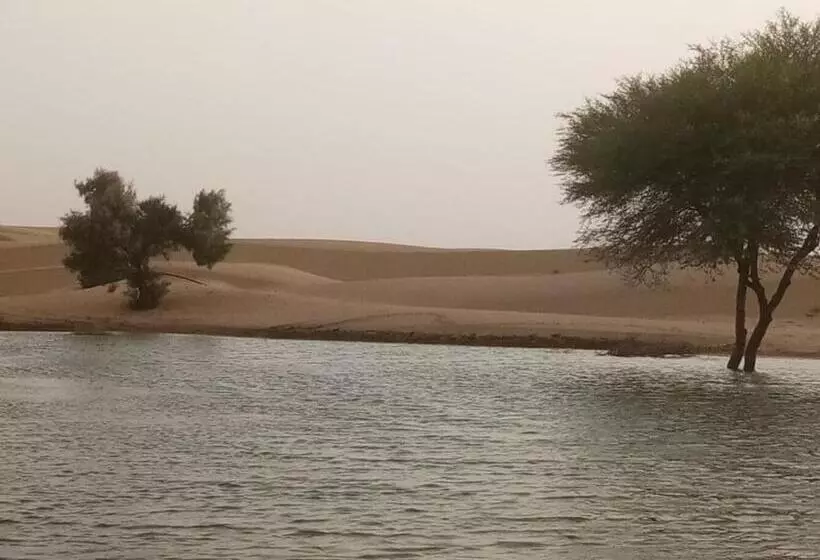 ベッドアンドブレックファースト Jaisalmer Toffu Safari