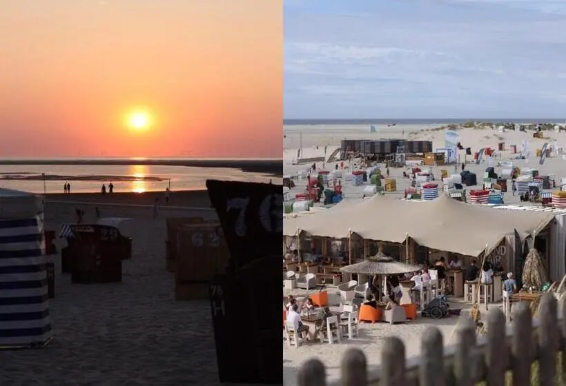 Inselbutze Borkum