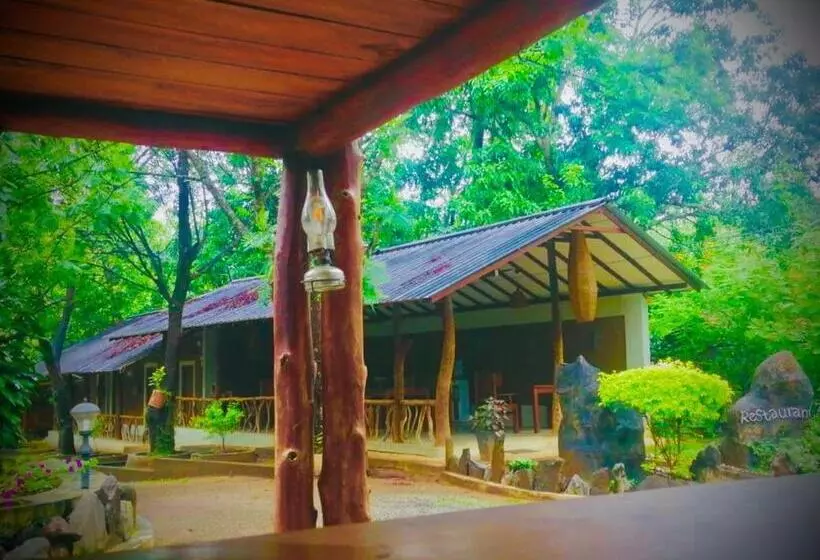 ベッドアンドブレックファースト Freedom Eco Resort
