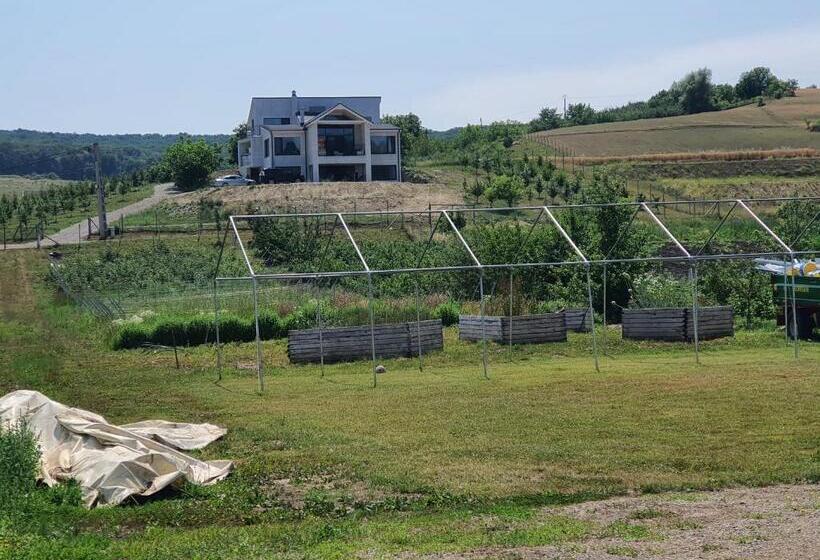 Pensiunea Kamilla Panzio