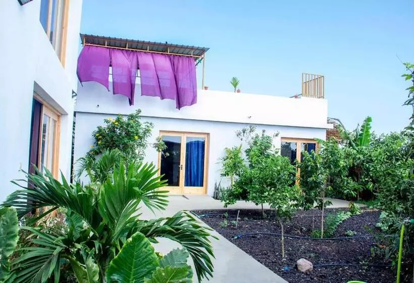 تختخواب و صبحانه Pipi S Guest House