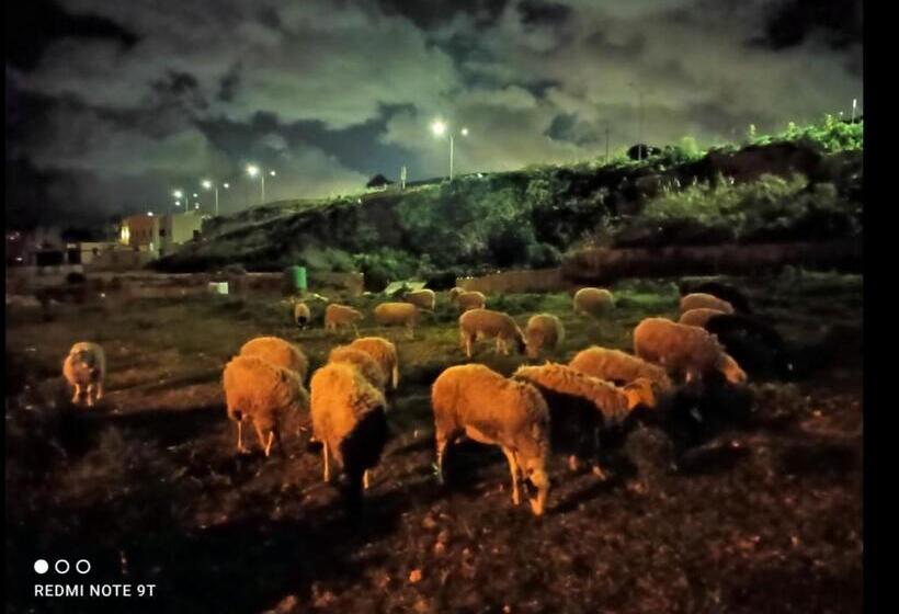 هتل Ta  Gingel Farm Agriturisim B&b. Malta