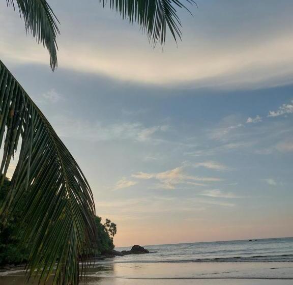 بنسيون Maggona Beach Villa