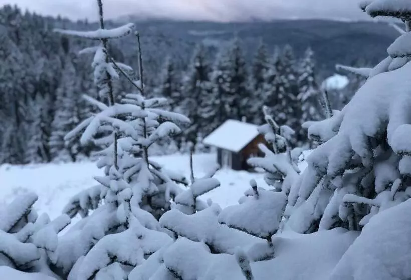 هتل Chaume De Balveurche