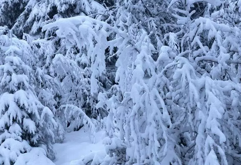 هتل Chaume De Balveurche