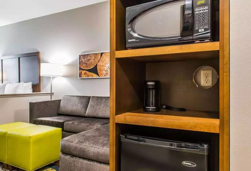 ホテル Comfort Inn & Suites Valdosta I 75