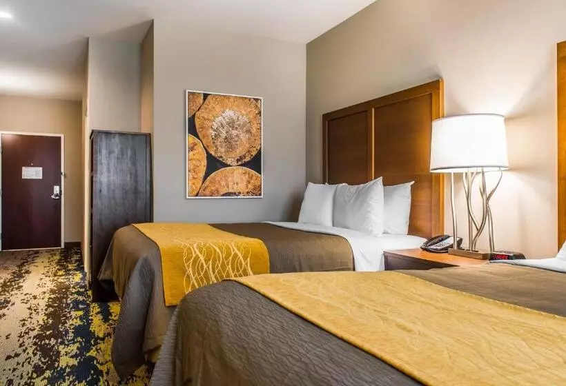 ホテル Comfort Inn & Suites Valdosta I 75
