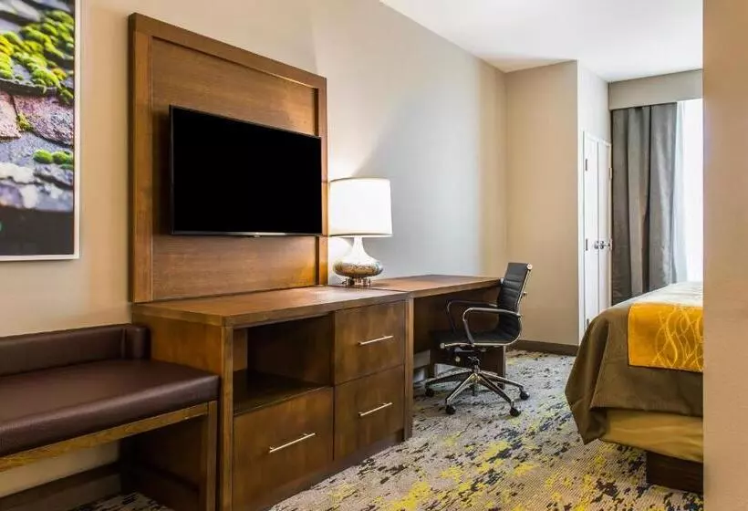 ホテル Comfort Inn & Suites Valdosta I 75