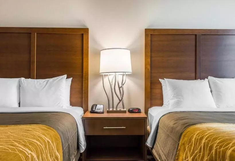 ホテル Comfort Inn & Suites Valdosta I 75