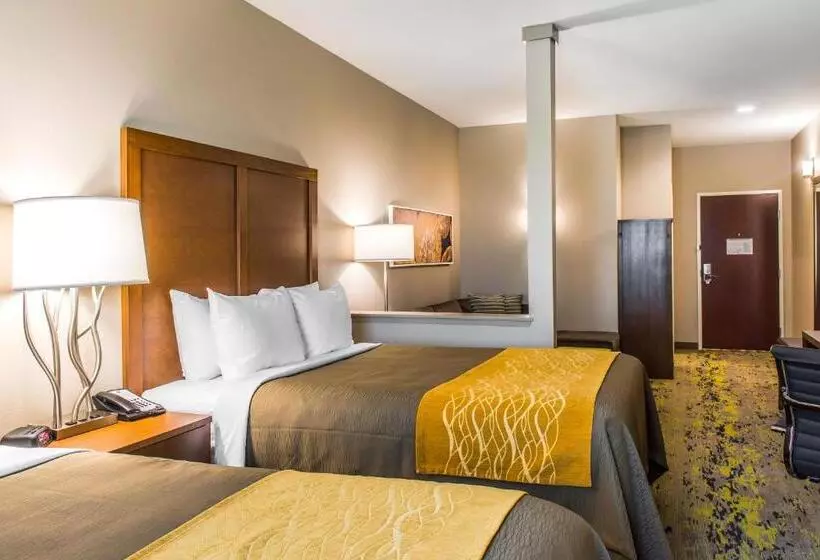 ホテル Comfort Inn & Suites Valdosta I 75