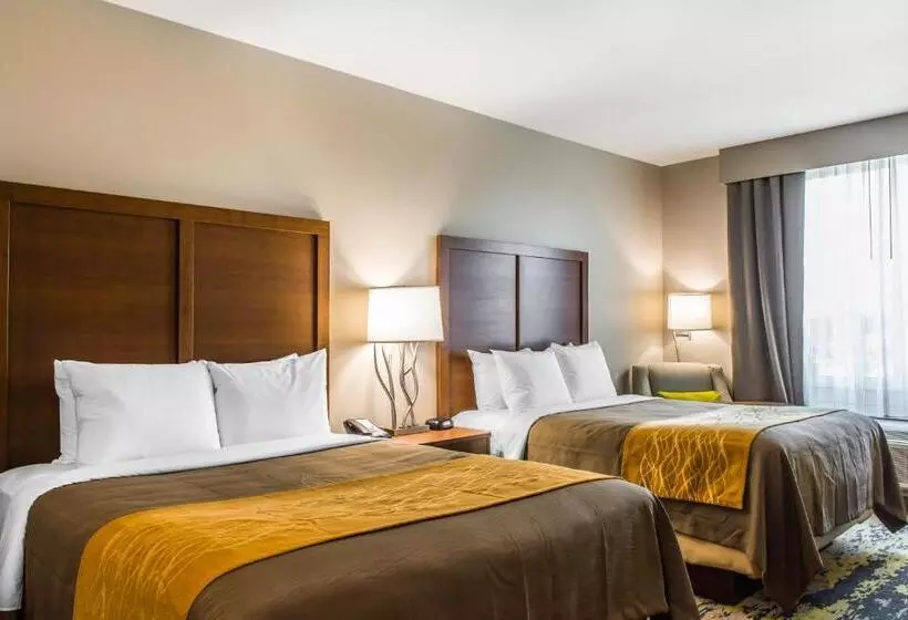 ホテル Comfort Inn & Suites Valdosta I 75