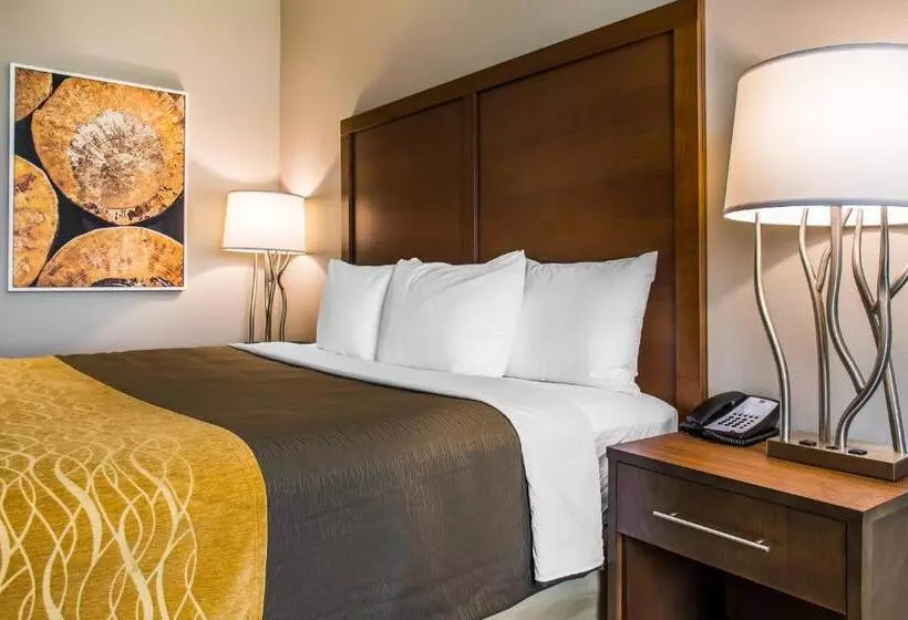 ホテル Comfort Inn & Suites Valdosta I 75