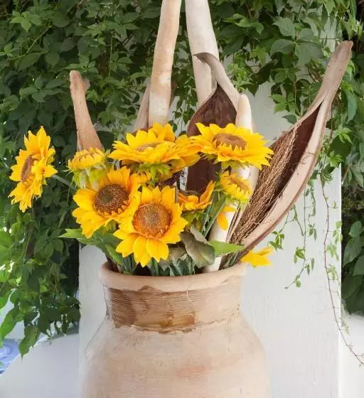هتل Girasole