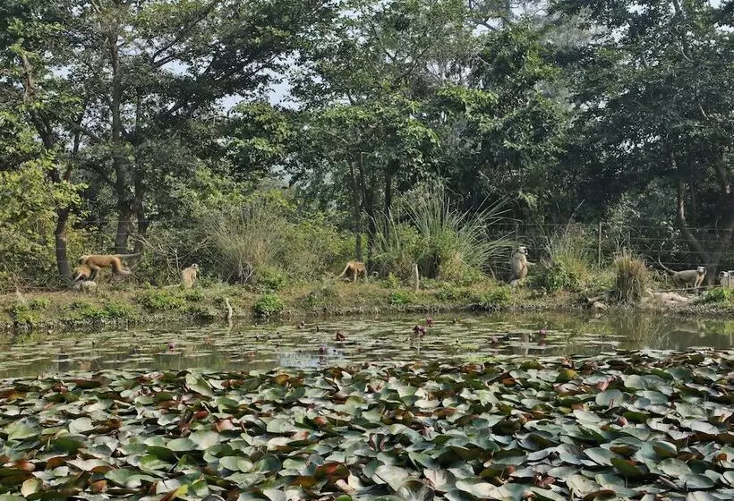 ホテル Jim S Jungle Retreat