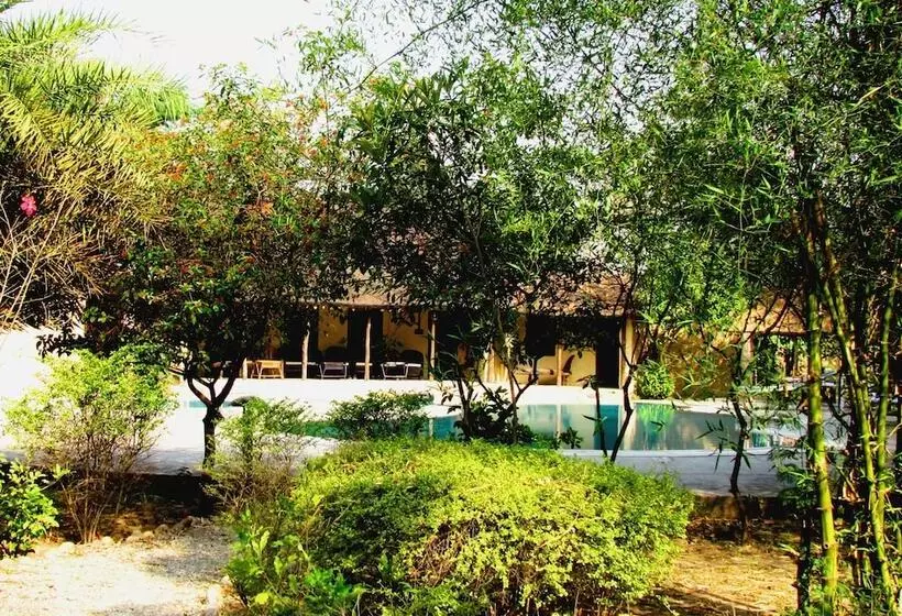 ホテル Jim S Jungle Retreat