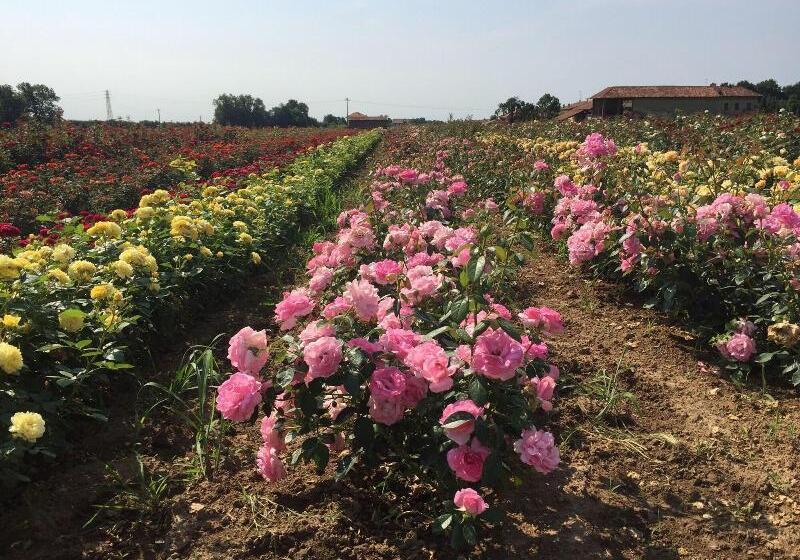 בית מלון כפרי Relais Santo Stefano