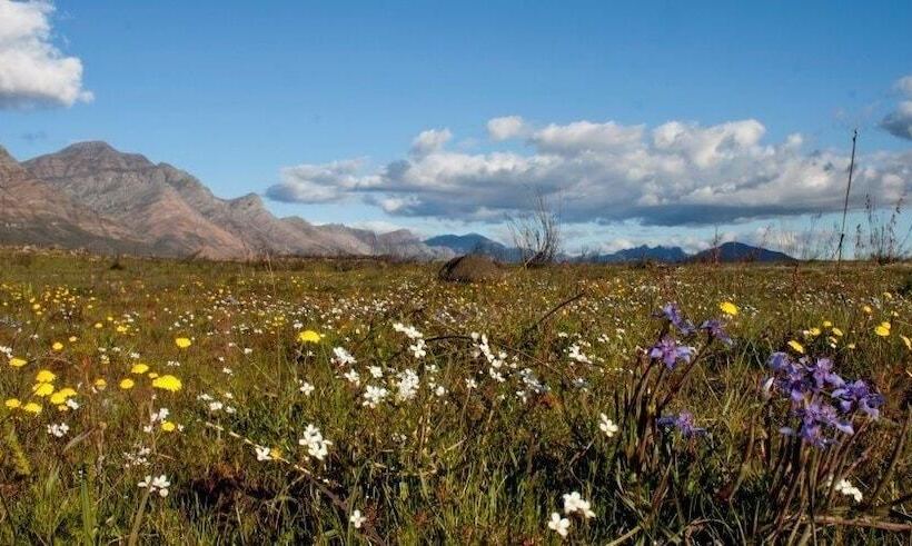 بنسيون Bartholomeus Klip Farmhouse