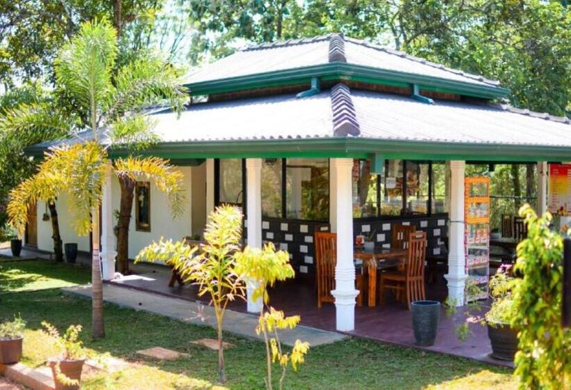 Bed and Breakfast J&j Resort