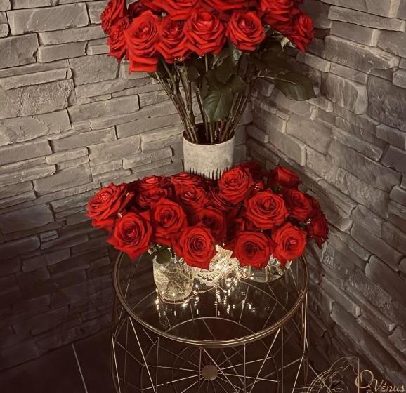 פנסיון O Venus Spa