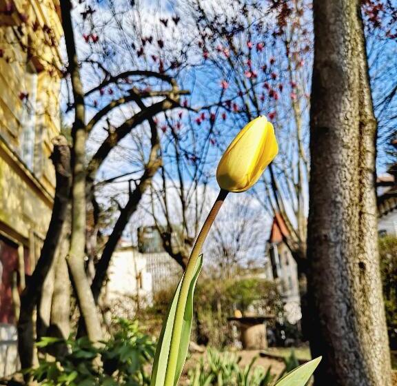 هتل The Villa, Ljubljana City Center