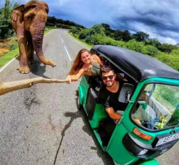 Majatalo Enjoy River Cottage