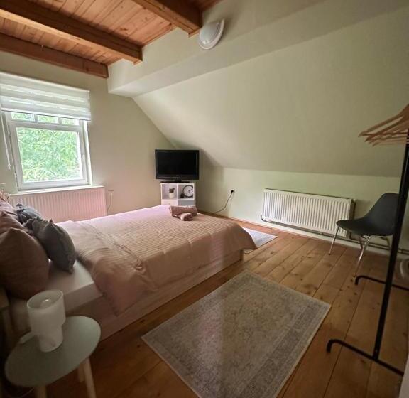 بنسيون Greenery Home