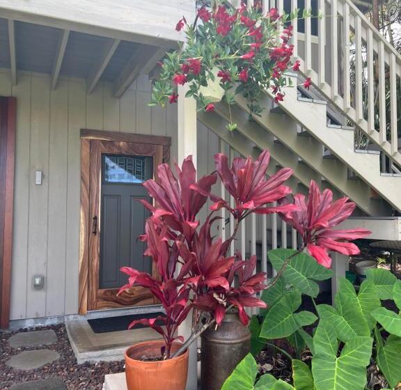 ペンション Private Ohana On The Lush Hamakua Coast With Ac
