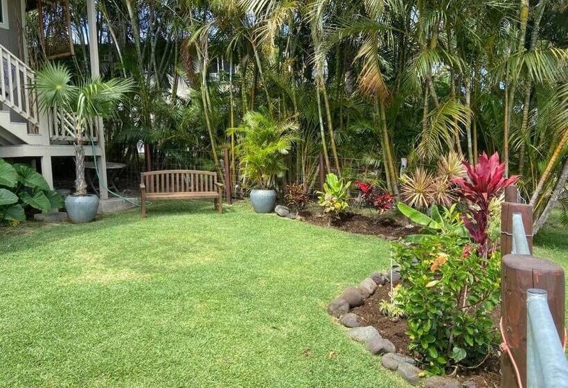 ペンション Private Ohana On The Lush Hamakua Coast With Ac