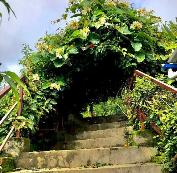 Hotel New Araniko Resort  Ltd