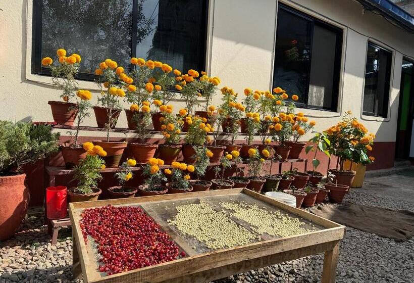 Hotel New Araniko Resort  Ltd