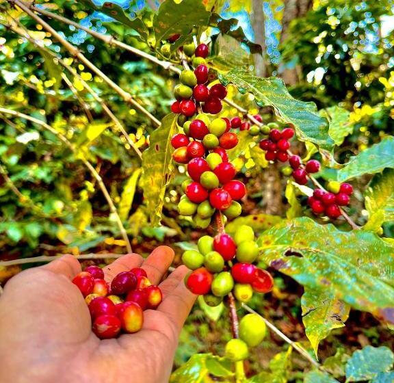 Hotel New Araniko Resort  Ltd