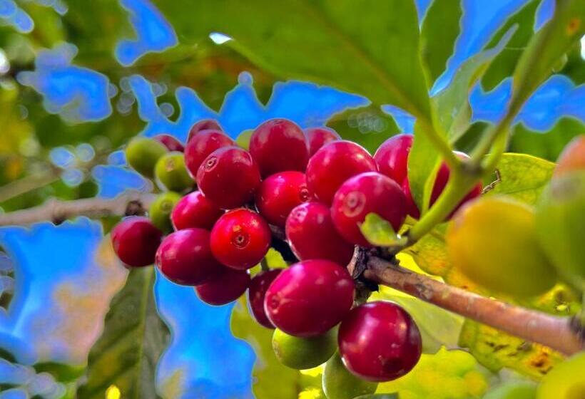 Hotel New Araniko Resort  Ltd