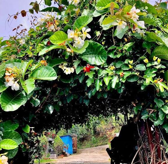 Hotel New Araniko Resort  Ltd