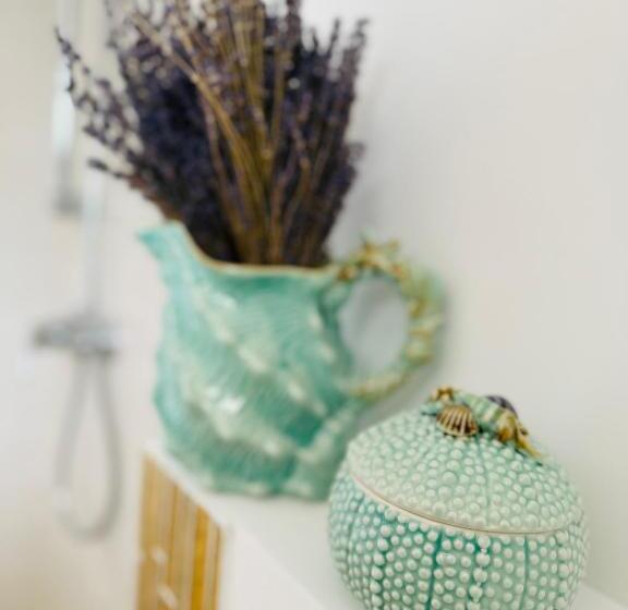 پانسیون Saga Proprietate Administrata De O Gazda Particulara