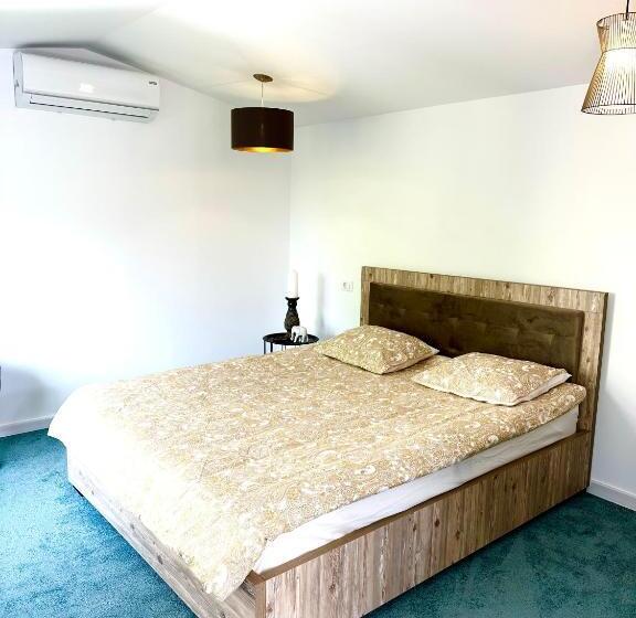 پانسیون Saga Proprietate Administrata De O Gazda Particulara