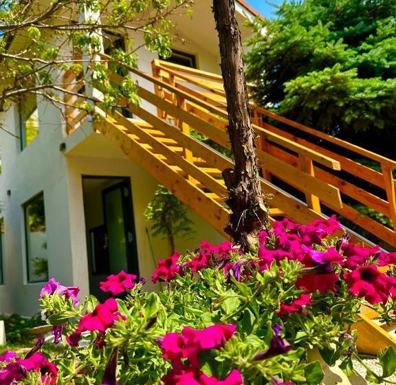 پانسیون Saga Proprietate Administrata De O Gazda Particulara