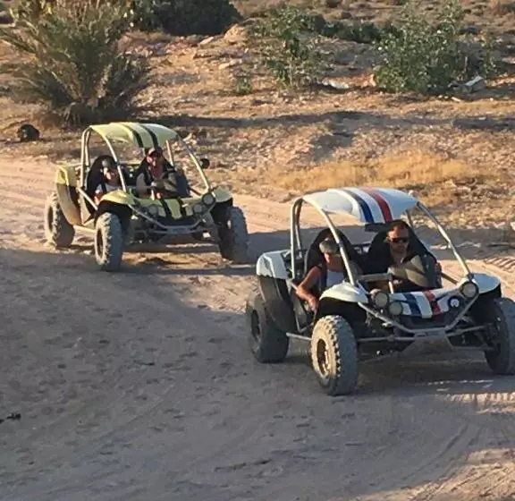 Tamalou Djerba