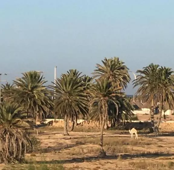 Tamalou Djerba