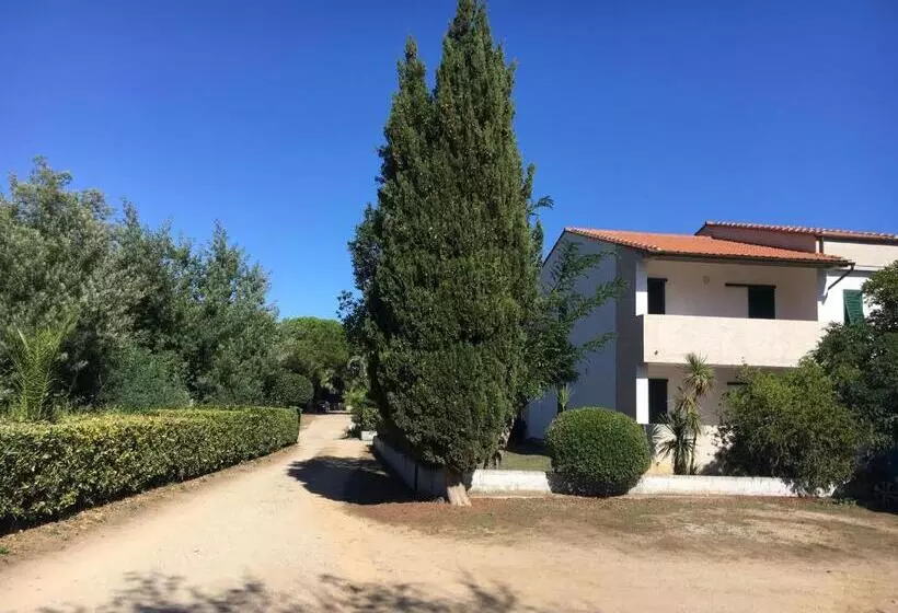 Bed & Breakfast Alex