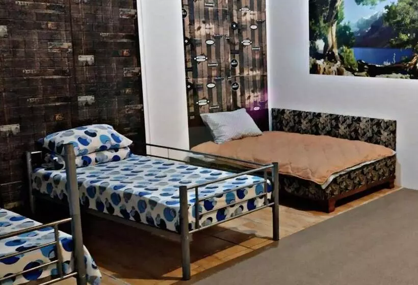 Hostel Tulcea