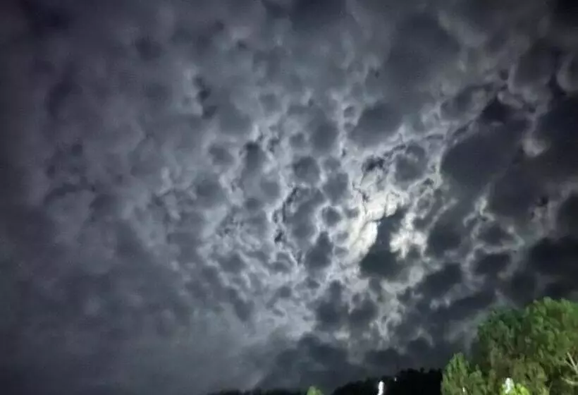 Hotelli Maheshwari & Banquet Hall