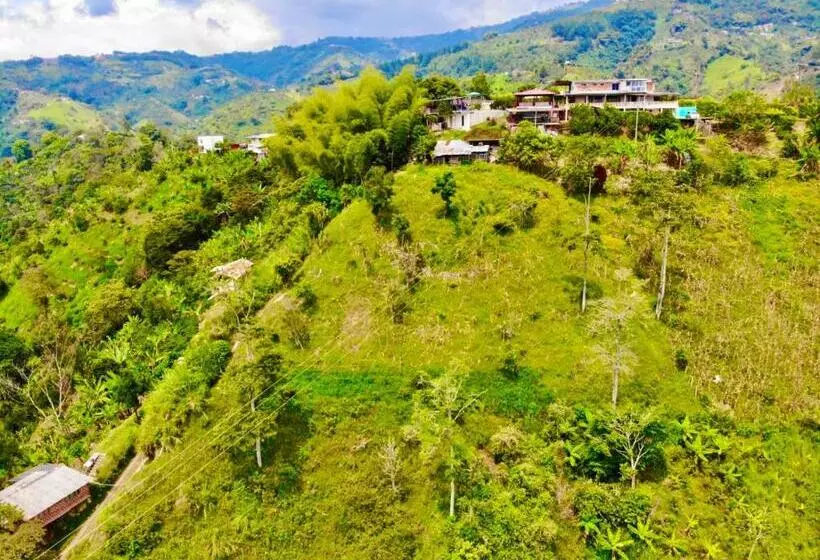 Mountain View Hostel