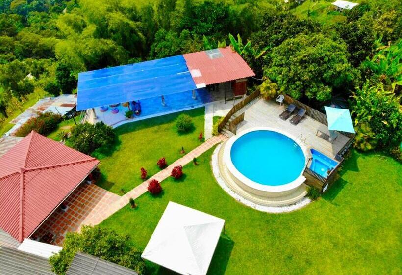 Mountain View Hostel