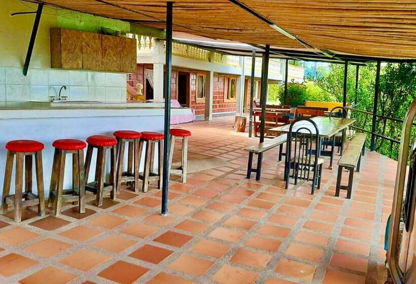 Mountain View Hostel